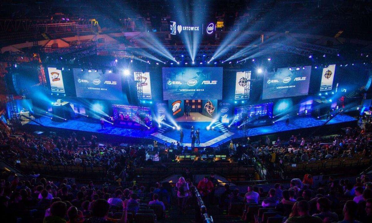 的报道来看 的报道来看