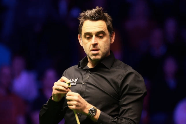 这种稳健的 这种稳健的